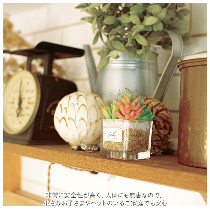 BACKYARD FAMILY「多肉植物 観葉植物 フェイク s 通販 おしゃれ 小さい CT触媒 消臭アーティフィシャルグリーン」|その他|