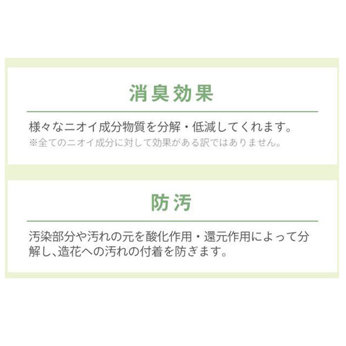 BACKYARD FAMILY「多肉植物 観葉植物 フェイク s 通販 おしゃれ 小さい CT触媒 消臭アーティフィシャルグリーン」|その他|