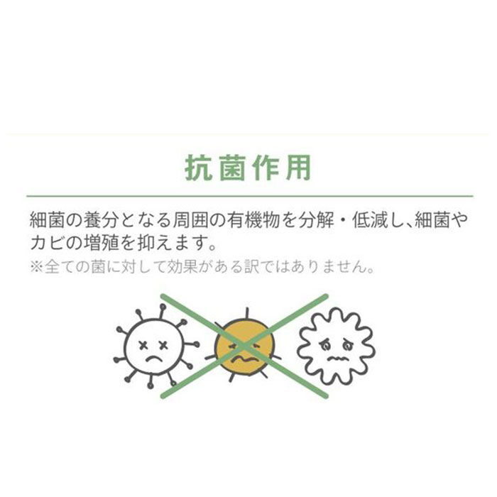 BACKYARD FAMILY「多肉植物 観葉植物 フェイク s 通販 おしゃれ 小さい CT触媒 消臭アーティフィシャルグリーン」|その他|