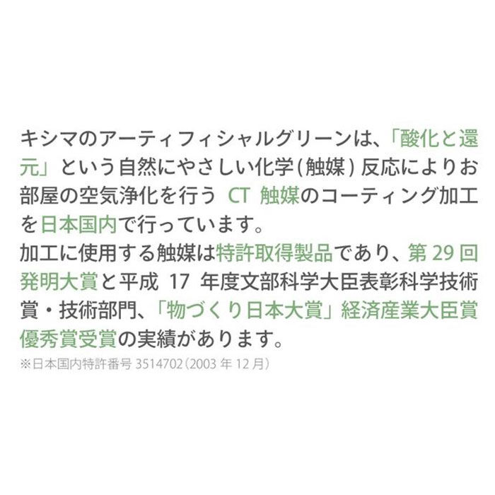 BACKYARD FAMILY「多肉植物 観葉植物 フェイク s 通販 おしゃれ 小さい CT触媒 消臭アーティフィシャルグリーン」|その他|