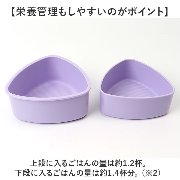 BACKYARD FAMILY「スケーター 弁当箱 2段 通販 ONWT1AG ランチボックス 二段 500ml」|食器・キッチングッズ|