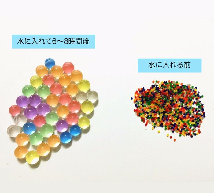 BACKYARD FAMILY「水で膨らむ ぷよぷよボール Lサイズ 通販 ジェリーボール 水耕栽培 水でふくらむ 植物栽培用」|その他|