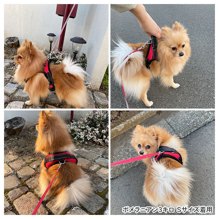 BACKYARD FAMILY「ハーネス 犬 通販 胴輪 リュック S M L ハーネスリード 軽量 かっこいい 服 イヌ 犬用」|その他|