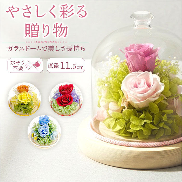BACKYARD FAMILY「プリザーブドフラワー ガラスドーム 通販 プリザーブド フラワー フラワーアレンジメント ガラス」|その他|