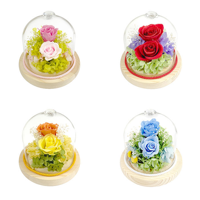 BACKYARD FAMILY「プリザーブドフラワー ガラスドーム 通販 プリザーブド フラワー フラワーアレンジメント ガラス」|その他|