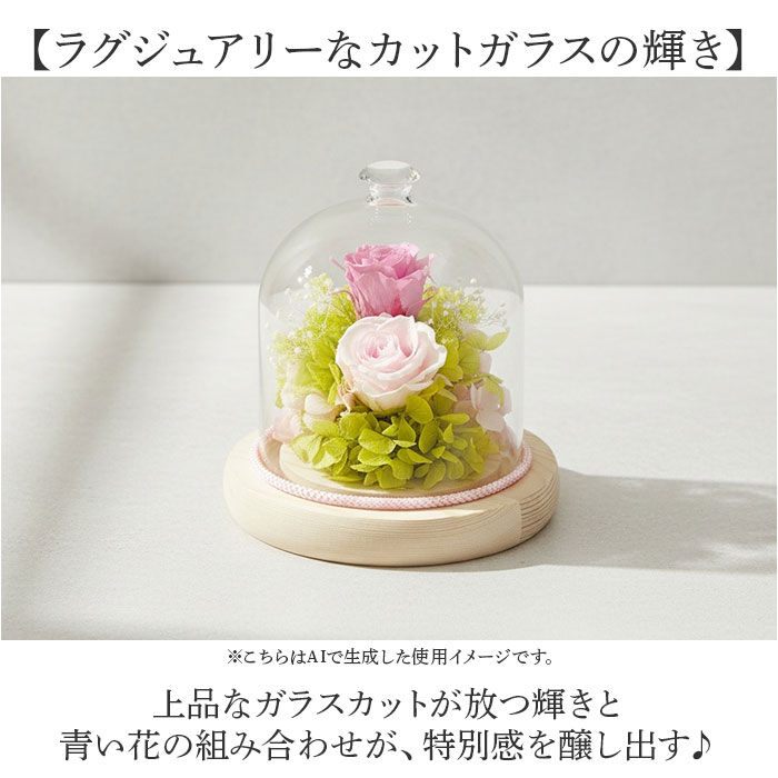 BACKYARD FAMILY「プリザーブドフラワー ガラスドーム 通販 プリザーブド フラワー フラワーアレンジメント ガラス」|その他|