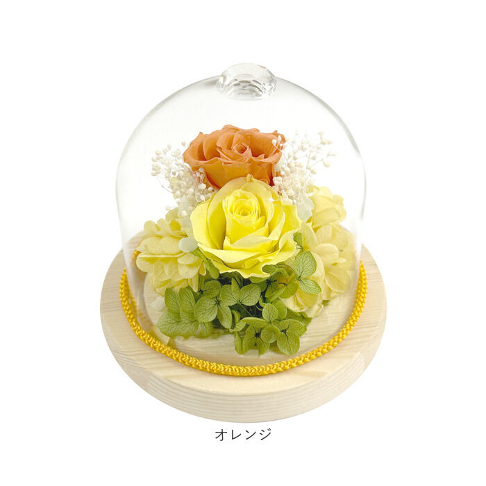 BACKYARD FAMILY「プリザーブドフラワー ガラスドーム 通販 プリザーブド フラワー フラワーアレンジメント ガラス」|その他|