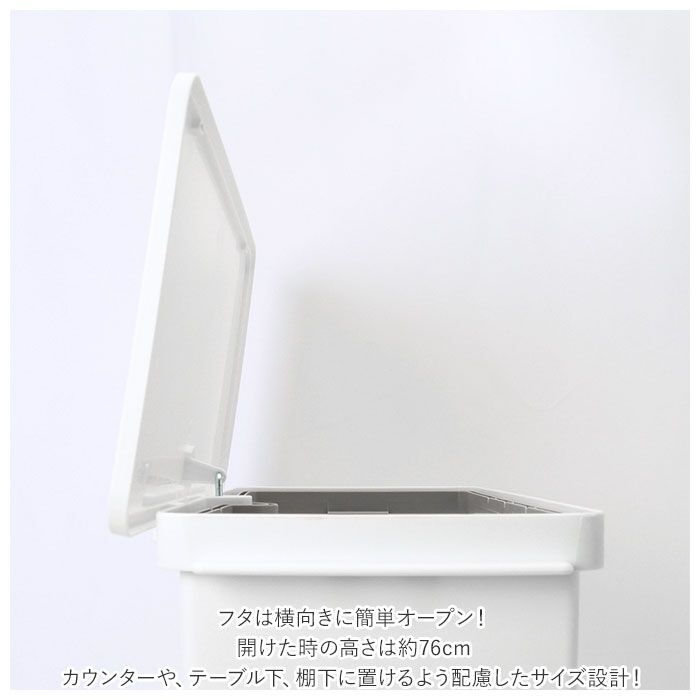 BACKYARD FAMILY「キッチン ゴミ箱 ペダル 33L 通販 ごみ箱 スリム 分別 ペダル式ゴミ箱 低く開く」|ダストボックス|