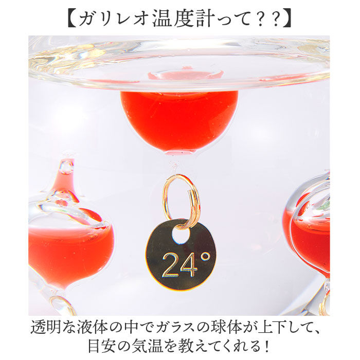 BACKYARD FAMILY「ガラスフロート温度計 りんご 通販 温度計 ガリレオ温度計 333-218 ガリレオサーモメーター」|その他|