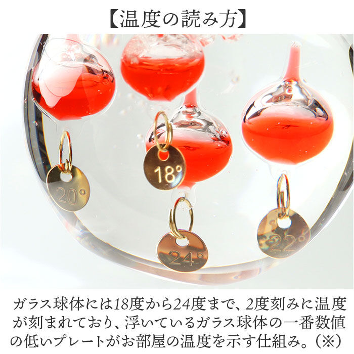 BACKYARD FAMILY「ガラスフロート温度計 りんご 通販 温度計 ガリレオ温度計 333-218 ガリレオサーモメーター」|その他|
