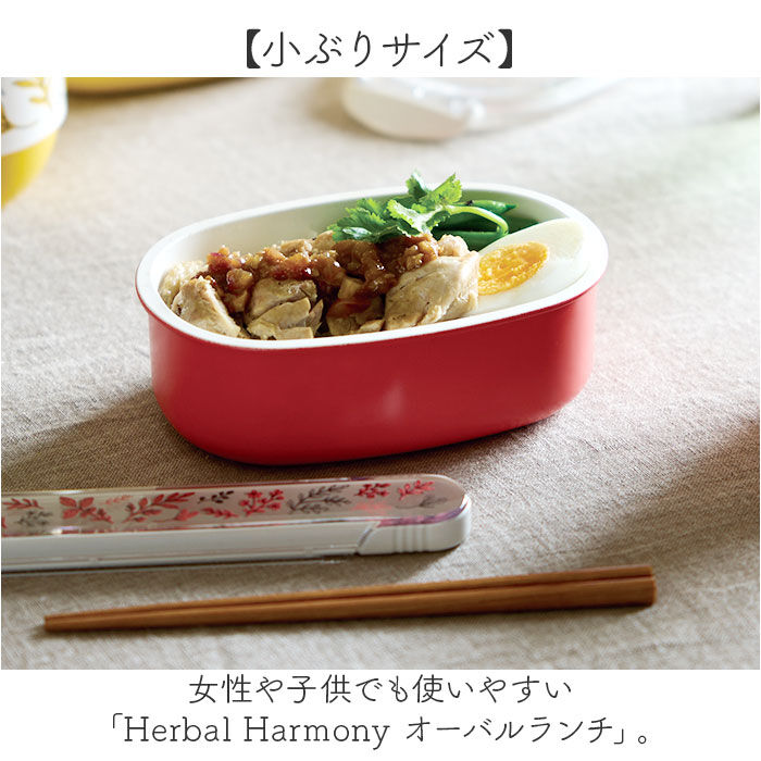 BACKYARD FAMILY「弁当箱 女子 大人 一段 通販 日本製 お弁当箱 1段 ランチボックス 500ml 小さめ 女性」|食器・キッチングッズ|