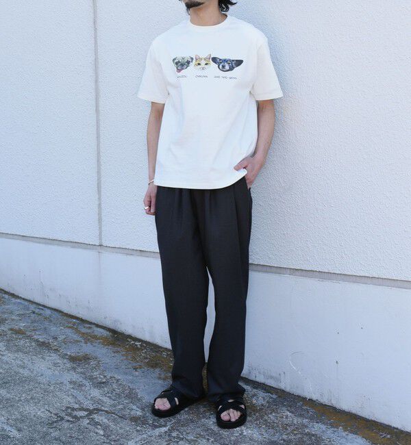 SHIPS Colors 「さかがみ家&times;SHIPS:コラボ プリント Tシャツ◇」|Tシャツ・カットソー|