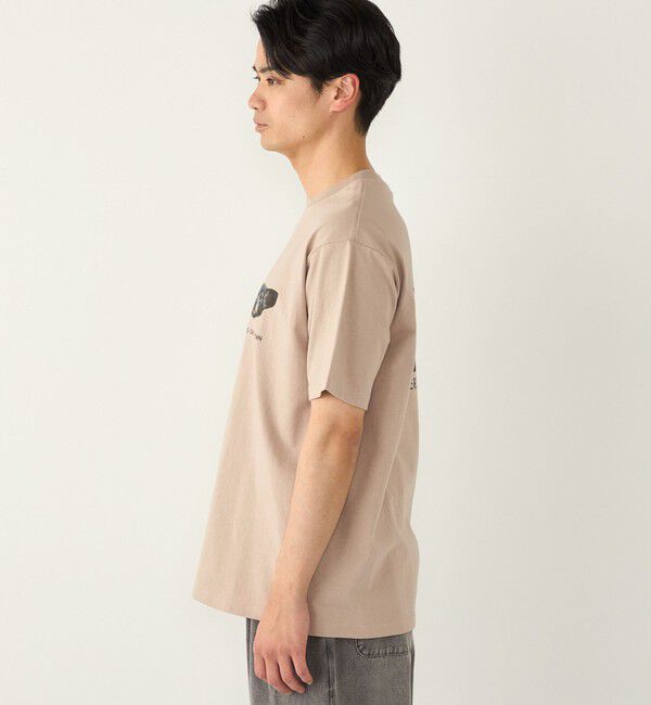 SHIPS Colors 「さかがみ家&times;SHIPS:コラボ プリント Tシャツ◇」|Tシャツ・カットソー|