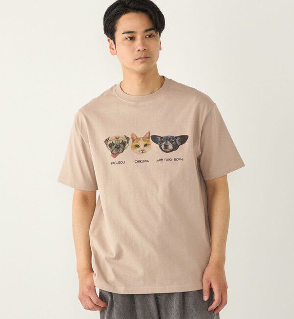 SHIPS Colors 「さかがみ家&times;SHIPS:コラボ プリント Tシャツ◇」|Tシャツ・カットソー|