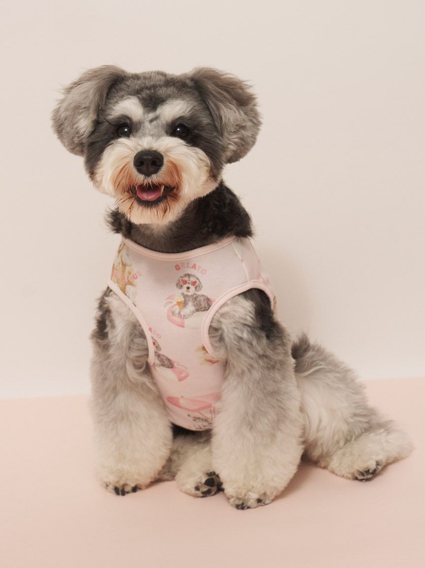  GELATO PIQUE CAT&DOG「【CAT&DOG】【接触冷感】 ビーチ シュナウザー柄Coolingプルオーバー」|その他|