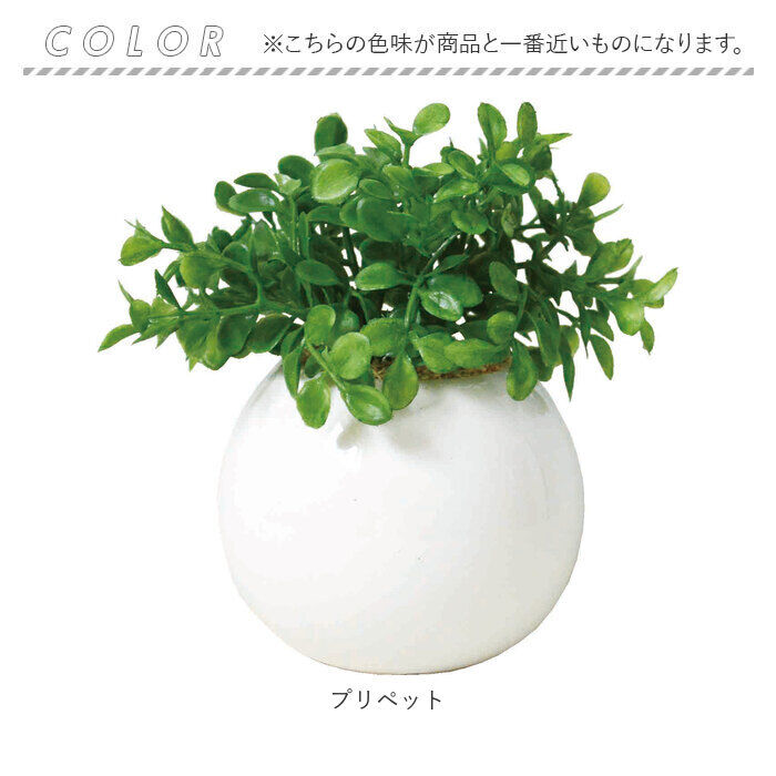 BACKYARD FAMILY「光触媒 フェイクグリーン 通販 観葉植物 フェイク ラウンドポットL CT触媒 卓上 小さい 消臭」|その他|