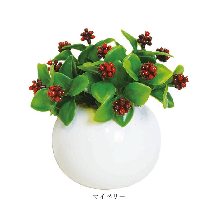 BACKYARD FAMILY「光触媒 フェイクグリーン 通販 観葉植物 フェイク ラウンドポットL CT触媒 卓上 小さい 消臭」|その他|