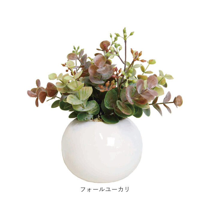 BACKYARD FAMILY「光触媒 フェイクグリーン 通販 観葉植物 フェイク ラウンドポットL CT触媒 卓上 小さい 消臭」|その他|