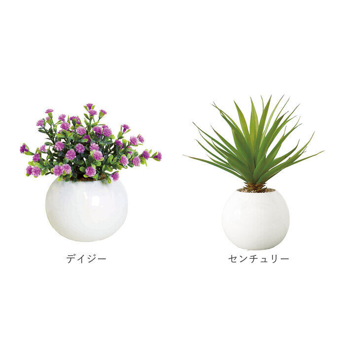 BACKYARD FAMILY「光触媒 フェイクグリーン 通販 観葉植物 フェイク ラウンドポットL CT触媒 卓上 小さい 消臭」|その他|