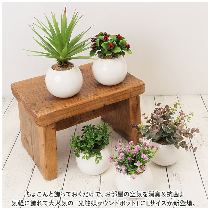 BACKYARD FAMILY「光触媒 フェイクグリーン 通販 観葉植物 フェイク ラウンドポットL CT触媒 卓上 小さい 消臭」|その他|