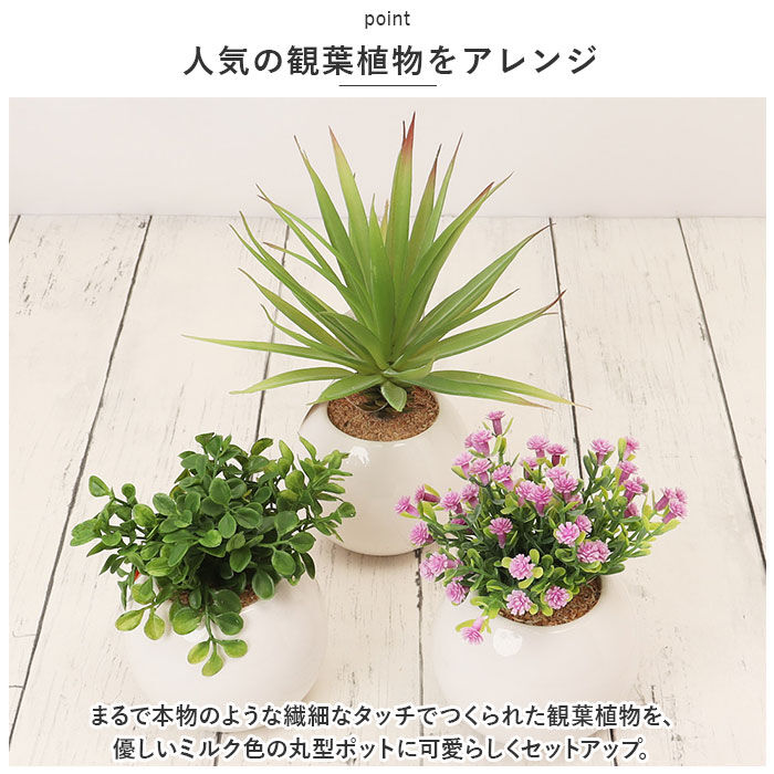 BACKYARD FAMILY「光触媒 フェイクグリーン 通販 観葉植物 フェイク ラウンドポットL CT触媒 卓上 小さい 消臭」|その他|