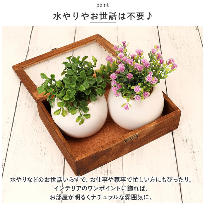 BACKYARD FAMILY「光触媒 フェイクグリーン 通販 観葉植物 フェイク ラウンドポットL CT触媒 卓上 小さい 消臭」|その他|