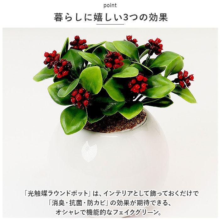 BACKYARD FAMILY「光触媒 フェイクグリーン 通販 観葉植物 フェイク ラウンドポットL CT触媒 卓上 小さい 消臭」|その他|
