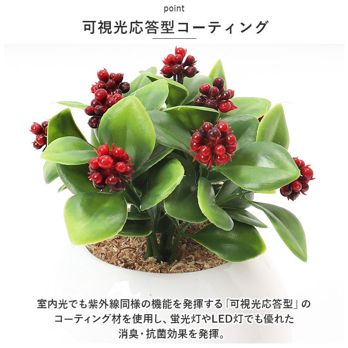 BACKYARD FAMILY「光触媒 フェイクグリーン 通販 観葉植物 フェイク ラウンドポットL CT触媒 卓上 小さい 消臭」|その他|