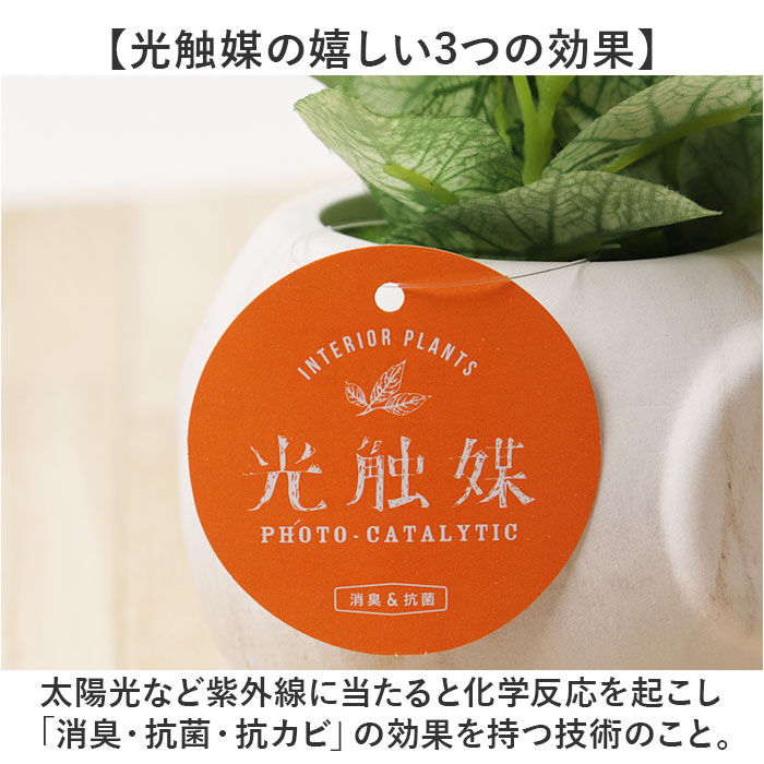 BACKYARD FAMILY「光触媒 マーブルポット 通販 ボウルポット フェイクグリーン ポット プランター 植木鉢 装飾」|その他|