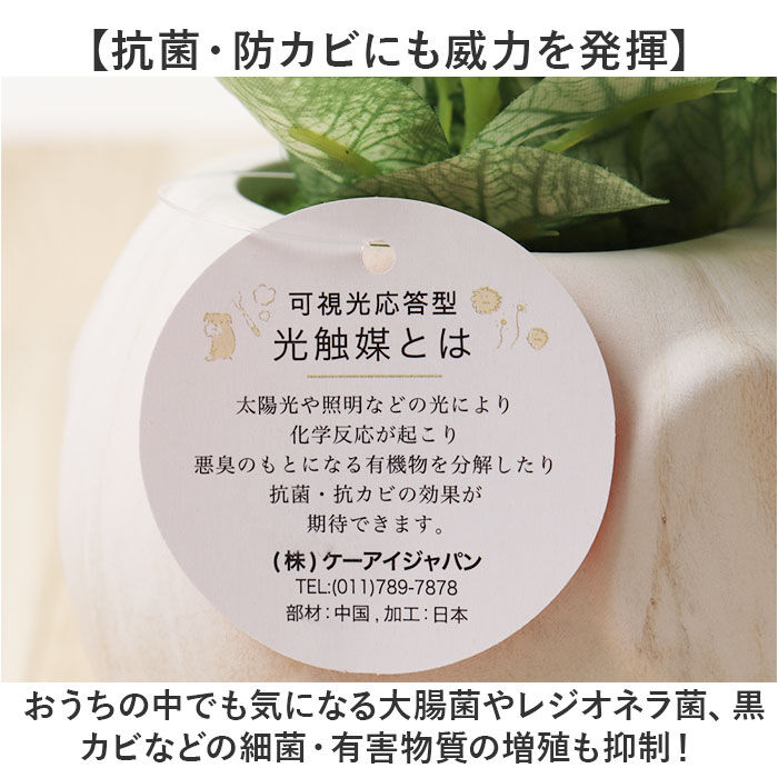 BACKYARD FAMILY「光触媒 マーブルポット 通販 ボウルポット フェイクグリーン ポット プランター 植木鉢 装飾」|その他|