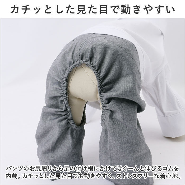 BACKYARD FAMILY「ペット 服 シャツ 犬 いぬ 通販 フォーマルスーツ スーツ 礼服 フォーマル おしゃれ ペット服」|その他|