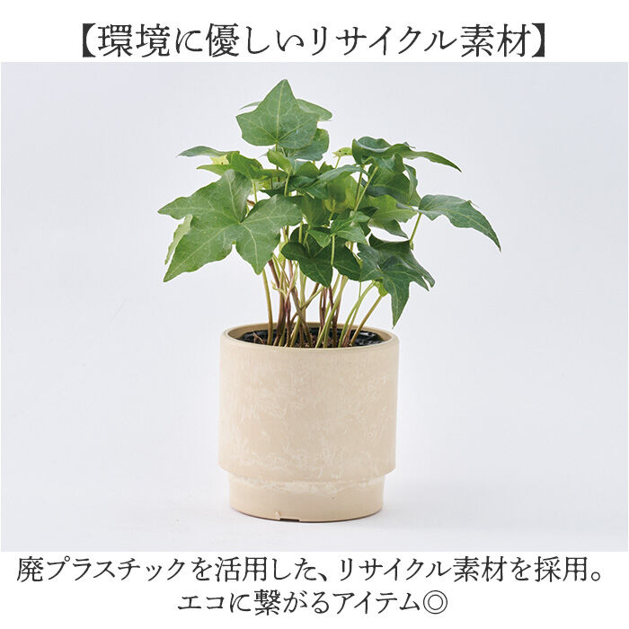 BACKYARD FAMILY「植木鉢 プラスチック 丸型 通販 SK ステップ 12xH12 鉢 約 3.5号 鉢カバー」|その他|