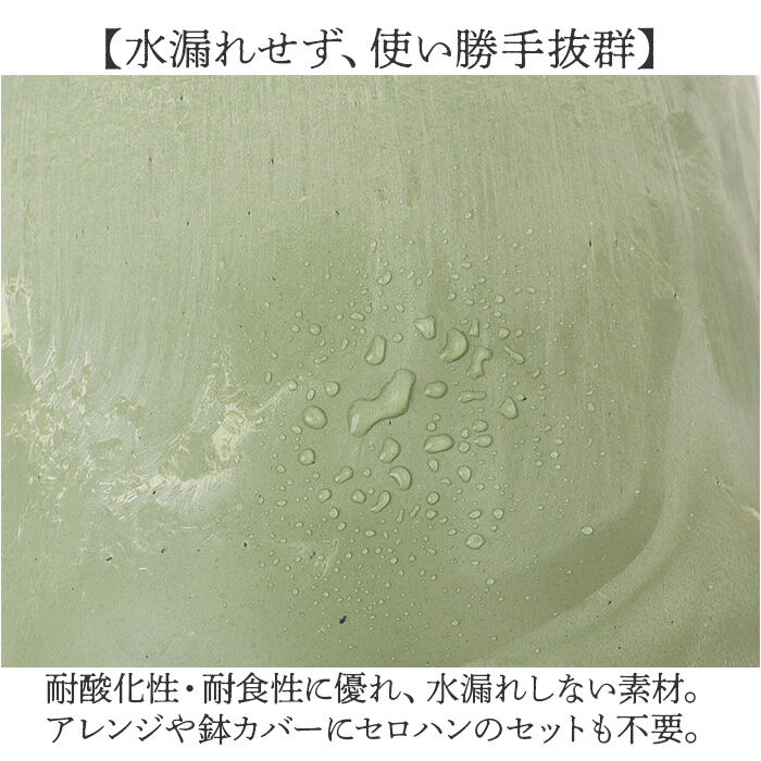 BACKYARD FAMILY「植木鉢 プラスチック 丸型 通販 SK ステップ 12xH12 鉢 約 3.5号 鉢カバー」|その他|