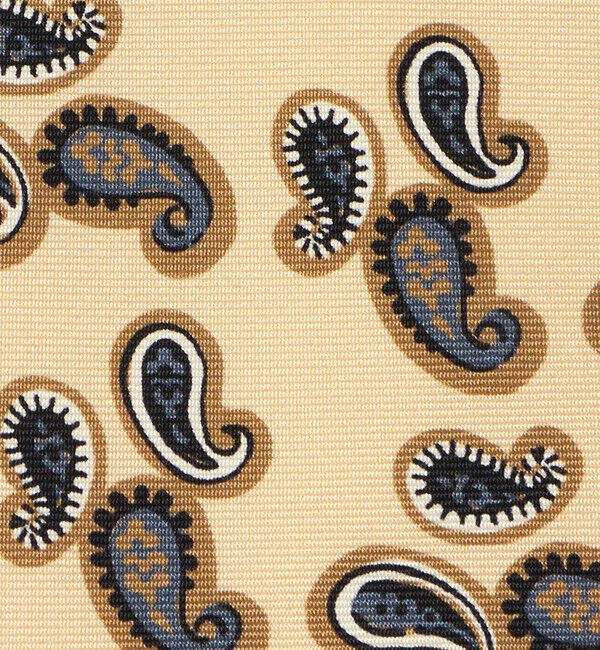 UNITED ARROWS「＜ERRICO FORMICOLA＞ペイズリー プリント ネクタイ」|ネクタイ・蝶ネクタイ|