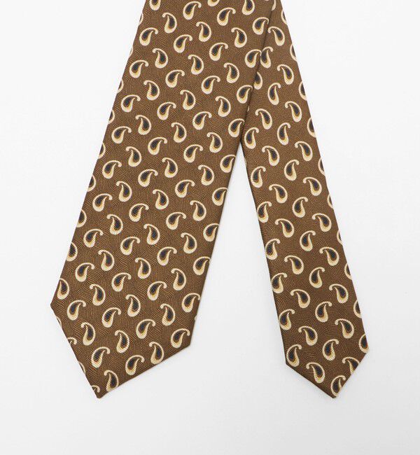 UNITED ARROWS「＜Holliday＆Brown＞スモール ペイズリー ネクタイ」|ネクタイ・蝶ネクタイ|