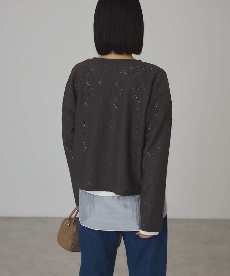 AMERICAN HOLIC「総レースプルオーバー【WEB限定カラー有り】」|Tシャツ・カットソー|