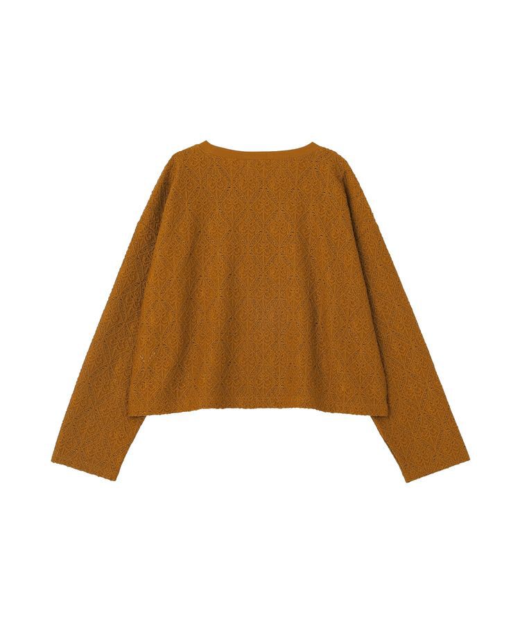 AMERICAN HOLIC「総レースプルオーバー【WEB限定カラー有り】」|Tシャツ・カットソー|