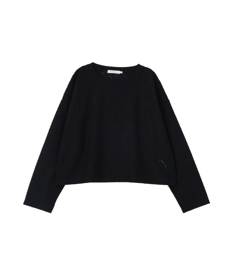 AMERICAN HOLIC「総レースプルオーバー【WEB限定カラー有り】」|Tシャツ・カットソー|