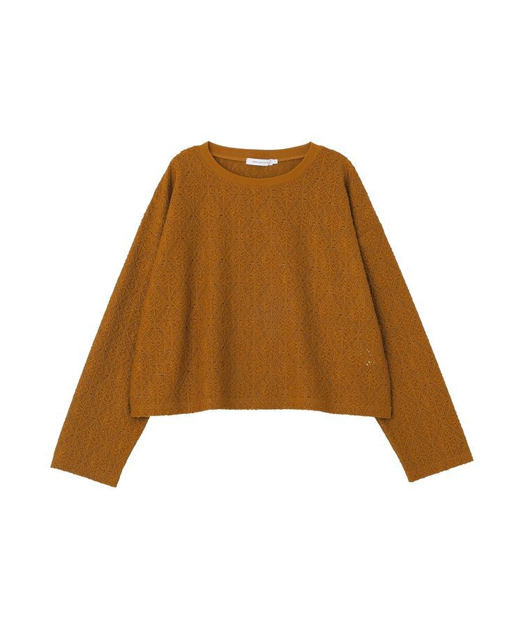 AMERICAN HOLIC「総レースプルオーバー【WEB限定カラー有り】」|Tシャツ・カットソー|