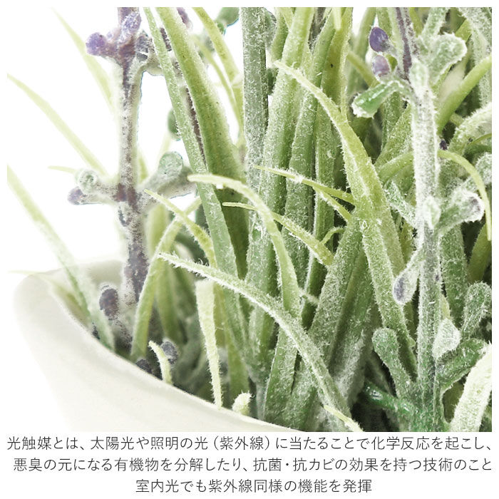 BACKYARD FAMILY「光触媒 花 通販 造花 おしゃれ フェイクグリーン ラベンダー フォールユーカリ ミモザ ブーケ」|その他|