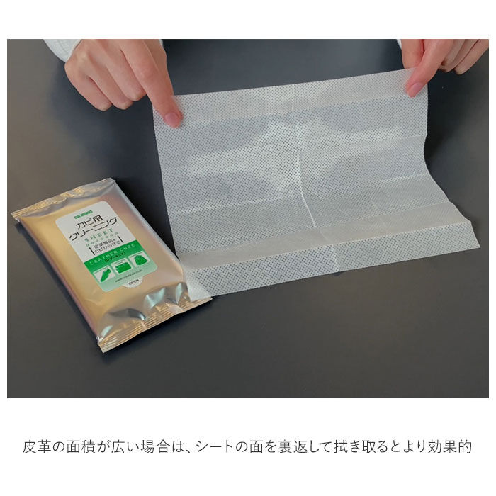 BACKYARD FAMILY「クリーニングシート 通販 レザーキュア 10枚入り 汚れ落とし カビ用 カビ 抑制 菌 汚れ 除去」|シューケア|