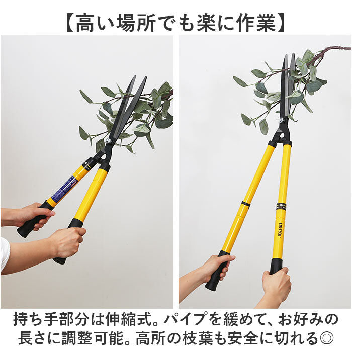 BACKYARD FAMILY「刈り込みハサミ 伸縮式 通販 枝切り 庭木 生垣 剪定 剪定ばさみ 剪定鋏 はさみ ハサミ」|その他|