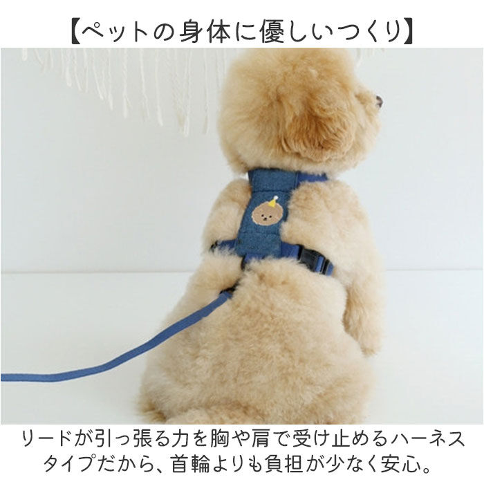 BACKYARD FAMILY「小型 犬 ハーネス リード セット 通販 ハーネスリード ハーネスリードセット ハーネス＆リード」|その他|