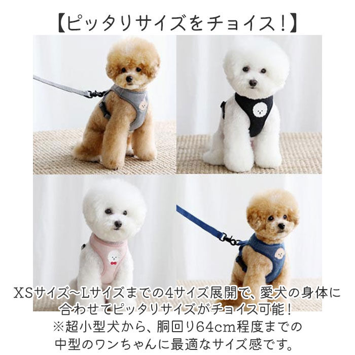 BACKYARD FAMILY「小型 犬 ハーネス リード セット 通販 ハーネスリード ハーネスリードセット ハーネス＆リード」|その他|