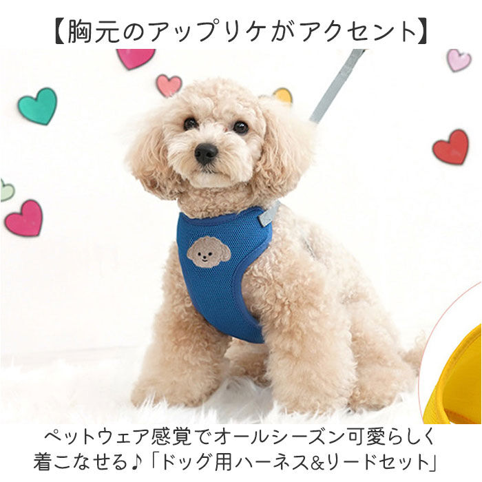 BACKYARD FAMILY「小型 犬 ハーネス リード セット 通販 ハーネスリード ハーネスリードセット ハーネス＆リード」|その他|