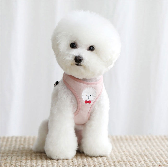 BACKYARD FAMILY「小型 犬 ハーネス リード セット 通販 ハーネスリード ハーネスリードセット ハーネス＆リード」|その他|