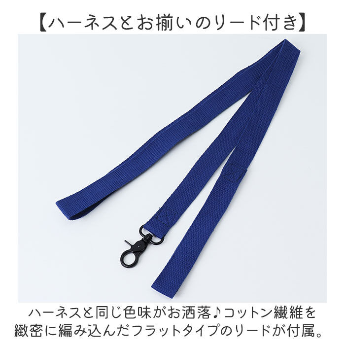 BACKYARD FAMILY「小型 犬 ハーネス リード セット 通販 ハーネスリード ハーネスリードセット ハーネス＆リード」|その他|