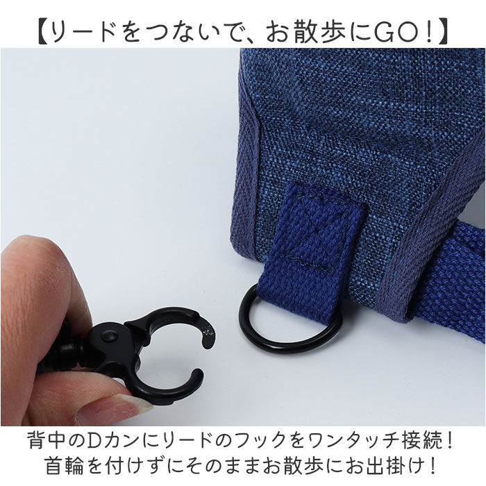 BACKYARD FAMILY「小型 犬 ハーネス リード セット 通販 ハーネスリード ハーネスリードセット ハーネス＆リード」|その他|