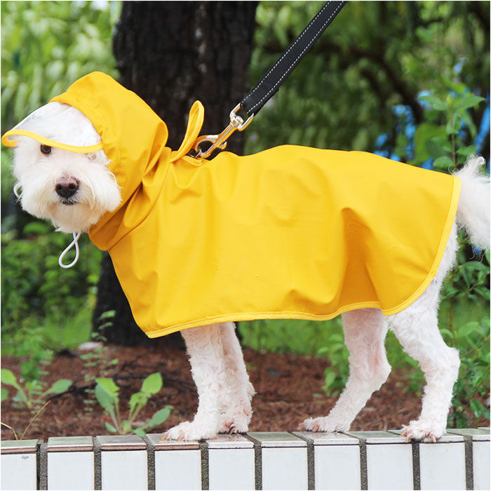 BACKYARD FAMILY「犬 レインコート 大型犬 通販 犬用レインコート ペット服 犬服 犬用 カッパ かっぱ 合羽」|その他|