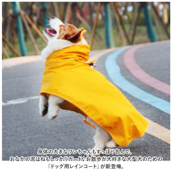 BACKYARD FAMILY「犬 レインコート 大型犬 通販 犬用レインコート ペット服 犬服 犬用 カッパ かっぱ 合羽」|その他|